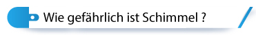 Wie gefährlich ist Schimmel ?