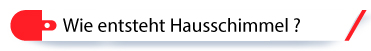Wie entsteht Hausschimmel ? Wie entsteht Hausschimmel ?