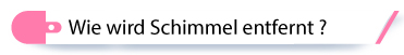 Wie wird Schimmel entfernt ? Wie wird Schimmel entfernt ?